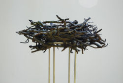 Nest III 2015